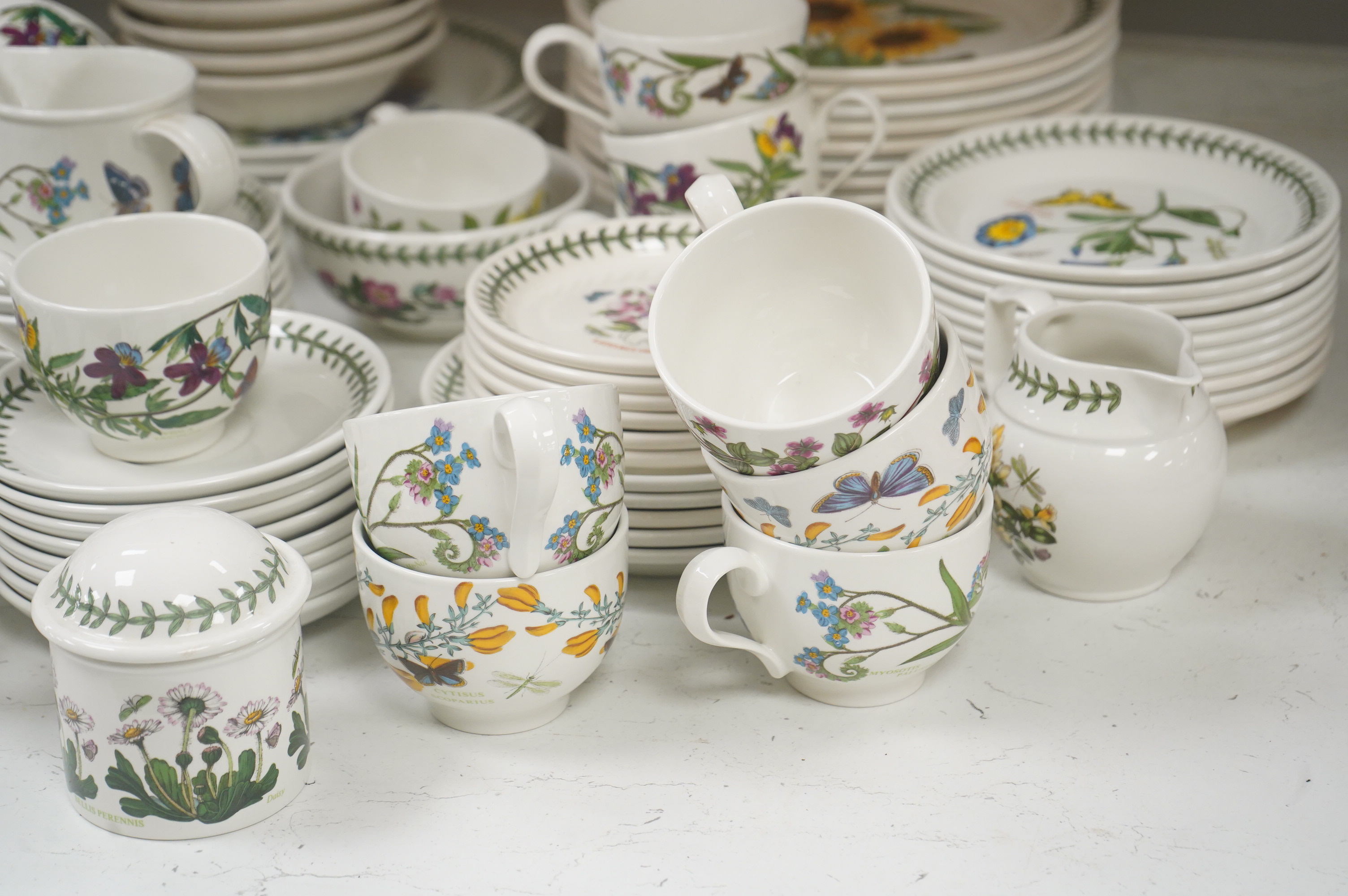 A large quantity of Portmerion Botanic Garden dinner and tea wares to include graduated bowls, dinner plates and side plates